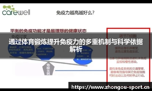 通过体育锻炼提升免疫力的多重机制与科学依据解析