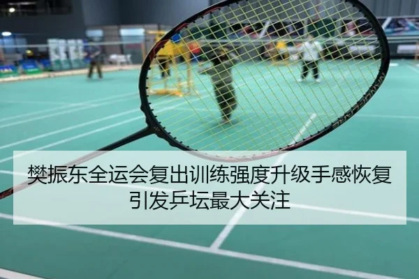 樊振东全运会复出训练强度升级手感恢复引发乒坛最大关注